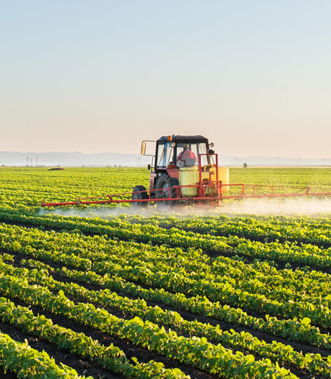 Agrochemical Industry